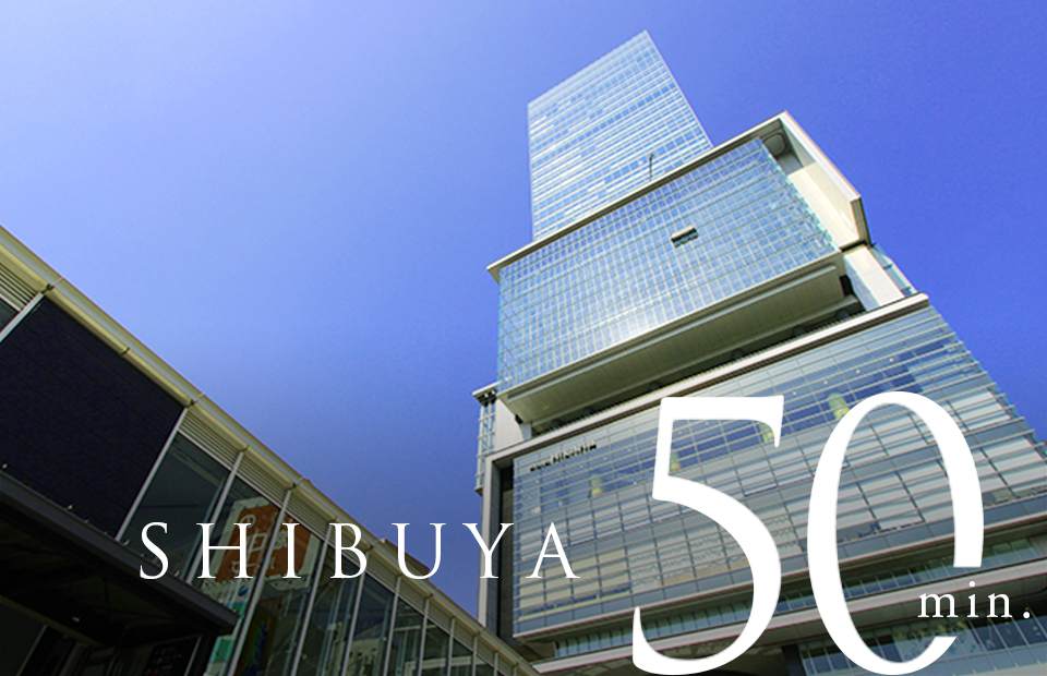 SHIBUYA 50min