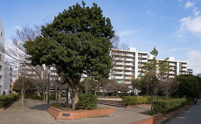 奥田三角公園