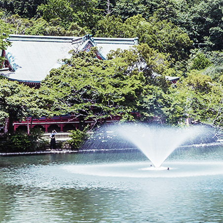井の頭恩賜公園