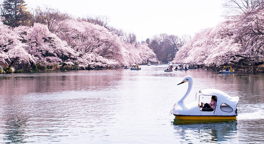 井の頭恩賜公園