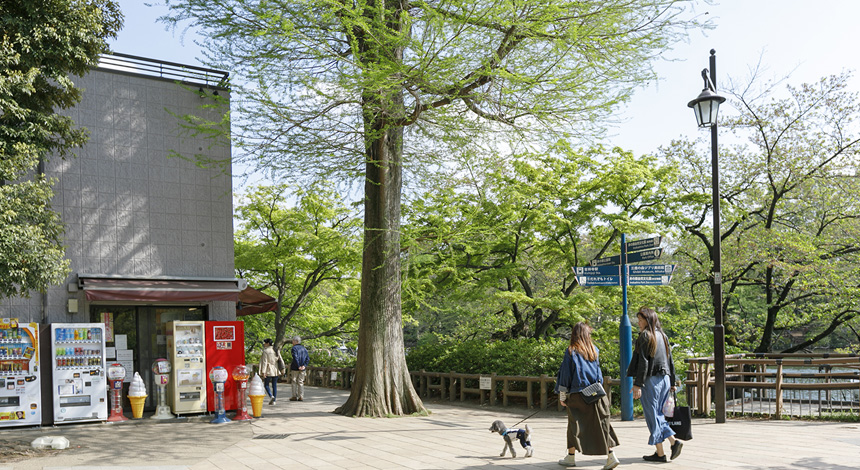 井の頭恩賜公園