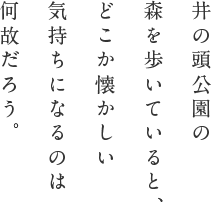 井の頭公園の森を歩いていると、どこか懐かしい気持ちになるのは何故だろう。