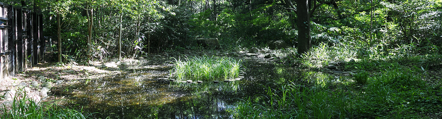 井の頭恩賜公園