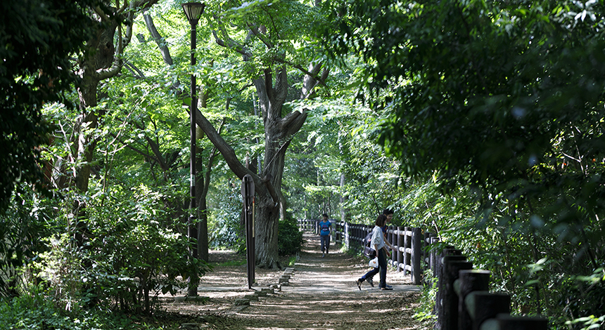 井の頭恩賜公園
