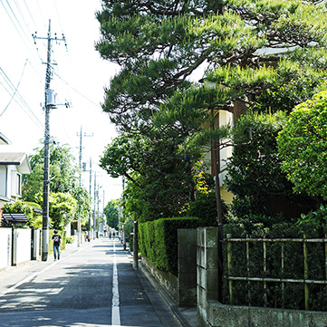 現地周辺の街並み
