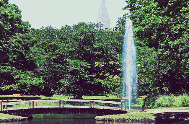 代々木公園